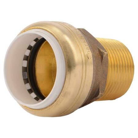 SHARKBITE-CASH ACME 1 x 1 in. Male NPT Push-Fit Connector 212938
